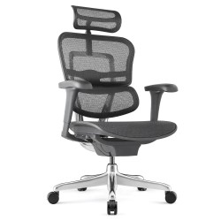 Fauteuil ergonomique TECH 2